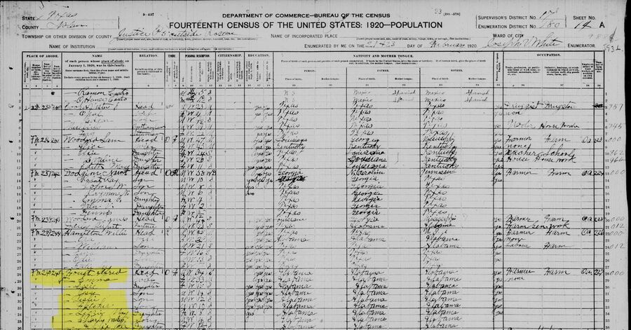 Census 1920 - Faust